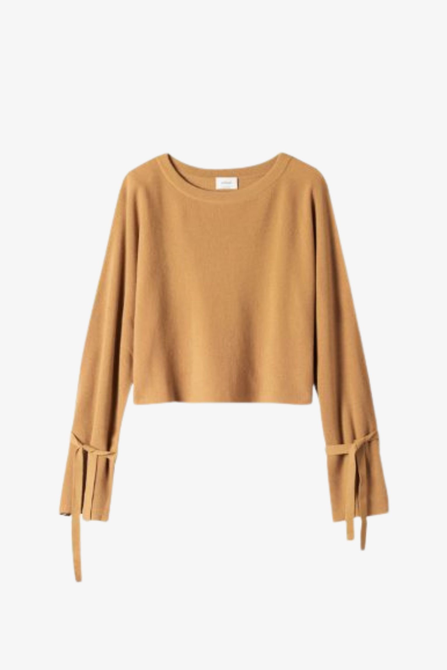 camel sleeve tie cropped top